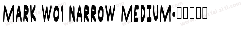 Mark W01 Narrow Medium字体转换